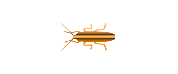 Cucaracha Alemana