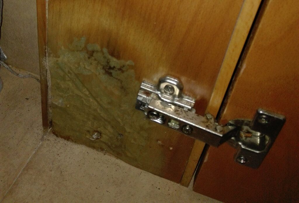 Signos de presencia de termitas en madera