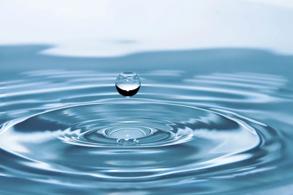 Cuales son los agentes patógenos del agua