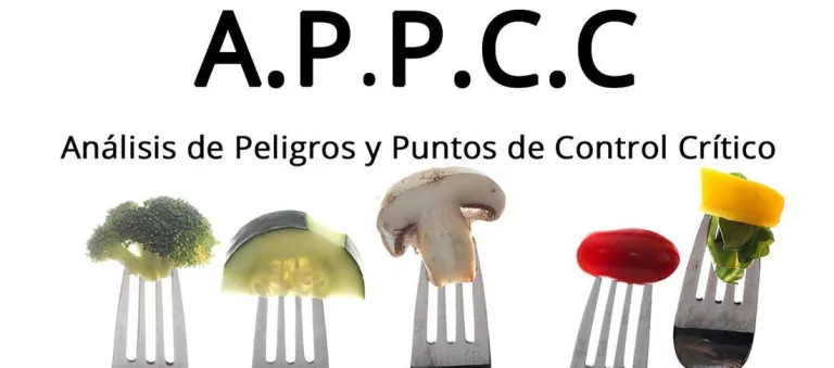 Cu&aacute;les son los Prerrequisitos para iniciar un APPCC