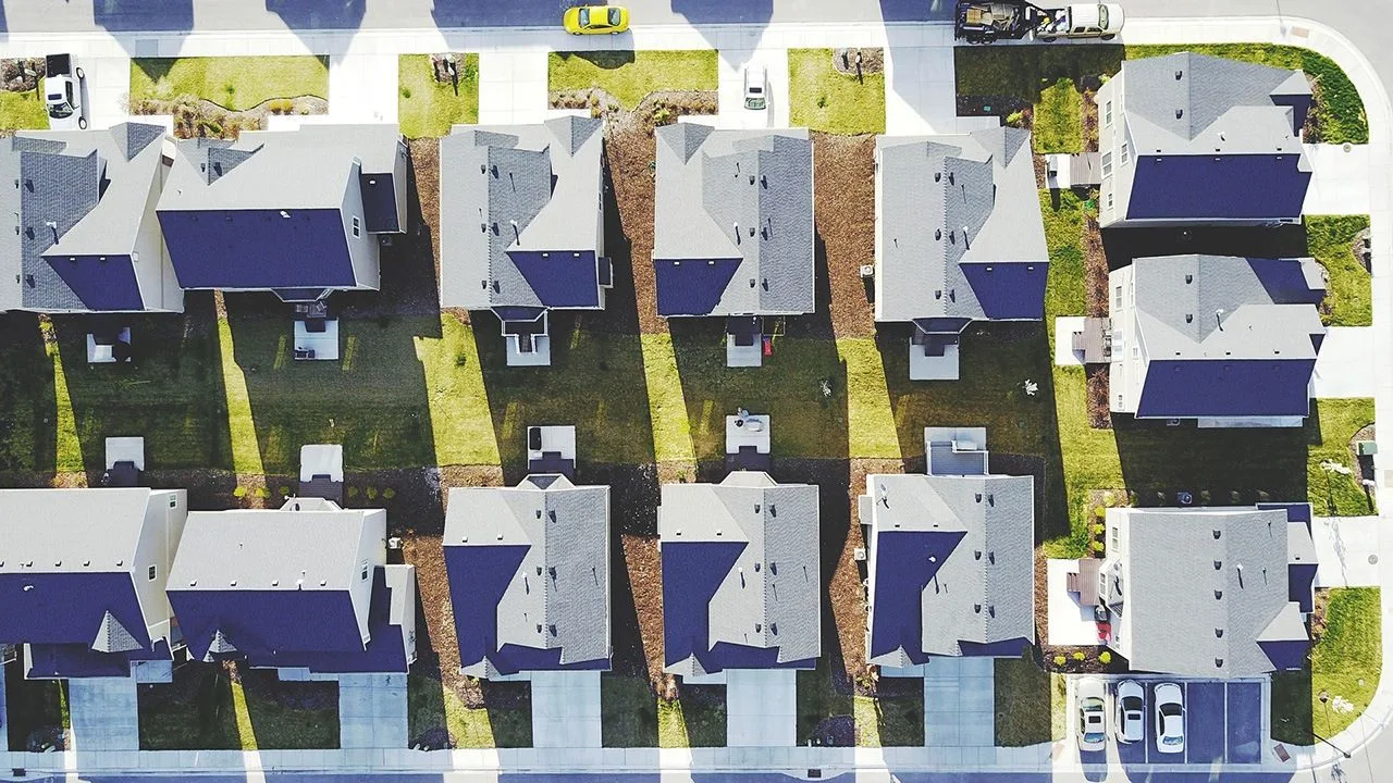 Tipos de plagas más habituales en comunidades de vecinos