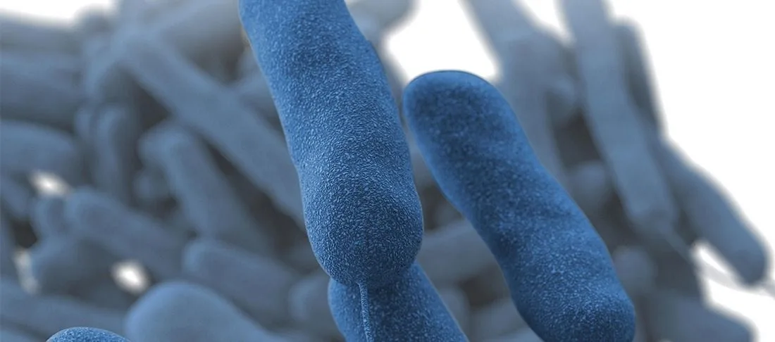 Problemas y tratamientos relacionados con la Legionella