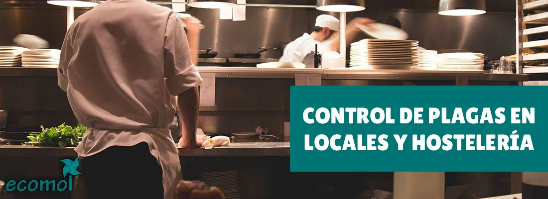 Las ventajas de contratar un control de plagas para tu negocio