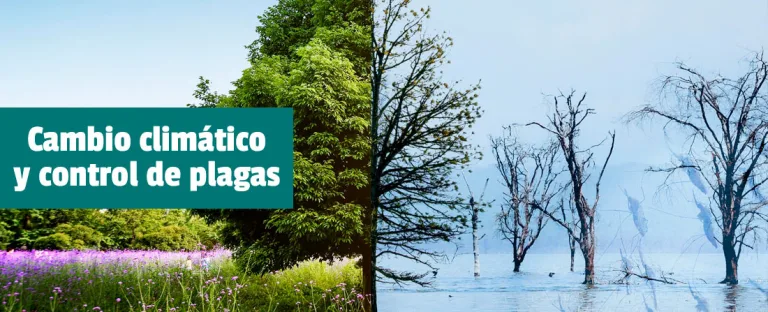 El cambio clim&aacute;tico y el control de plagas