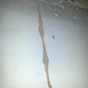 Estalactita de tierra de Termita