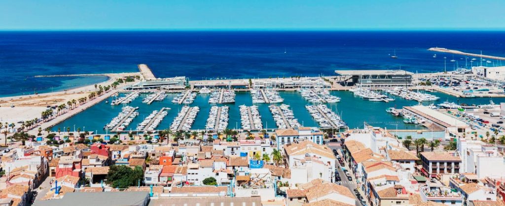 Control de plagas en Denia
