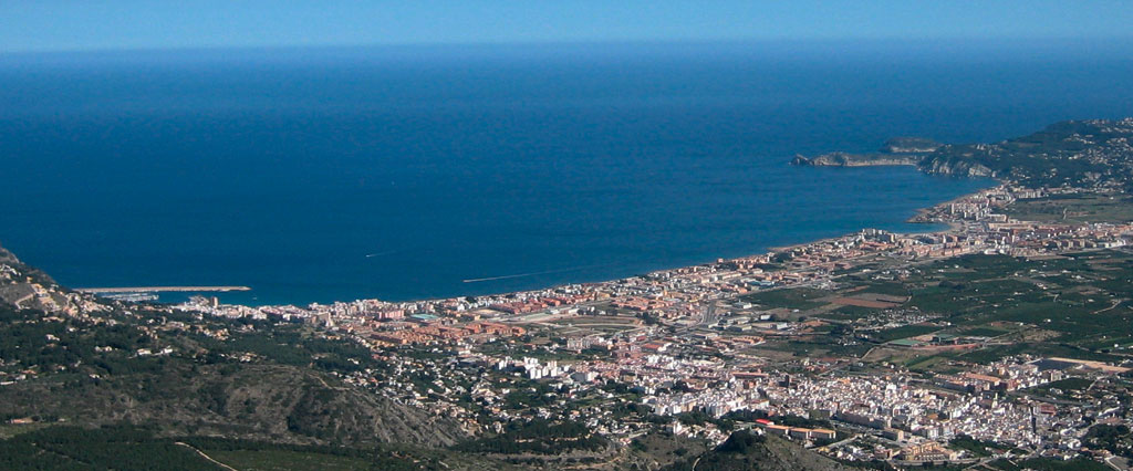 Tratamiento de plagas y termitas en Jávea