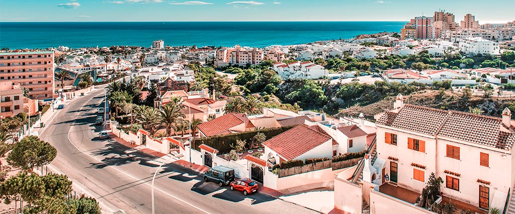 Tratamiento de plagas y termitas en Torrevieja