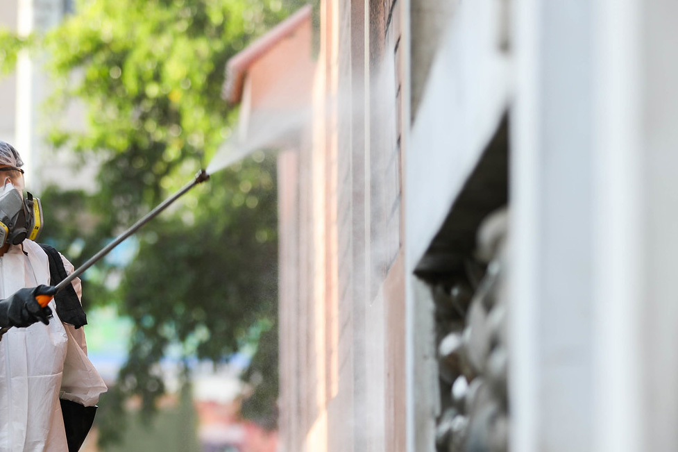 fumigación de exterior, expertos en plagas