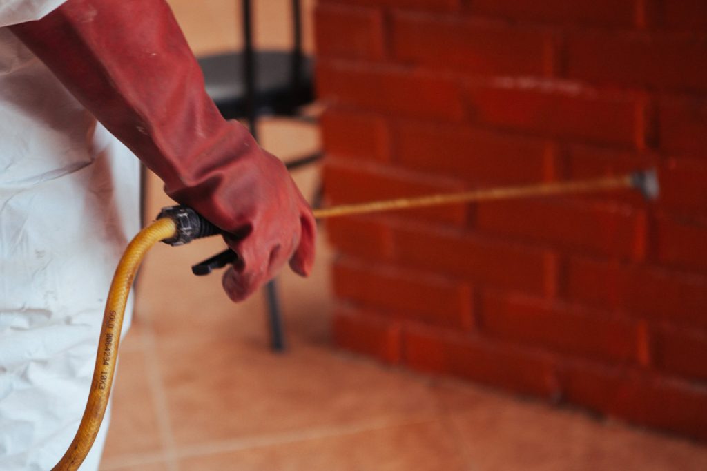Fumigación de pared anti plagas